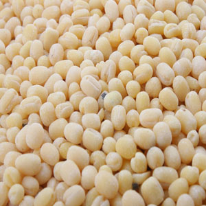 Urad Dal Gota
